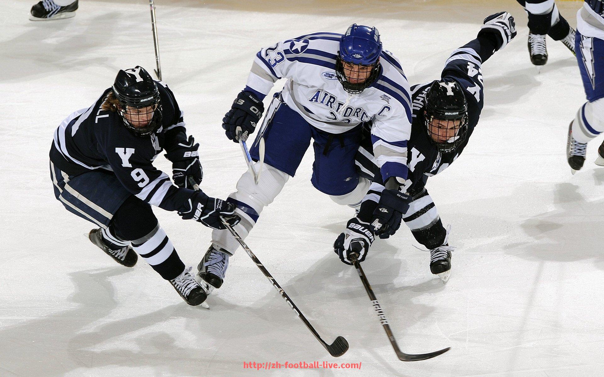 足球直播-德甲几支豪门球队比赛实力全面对比